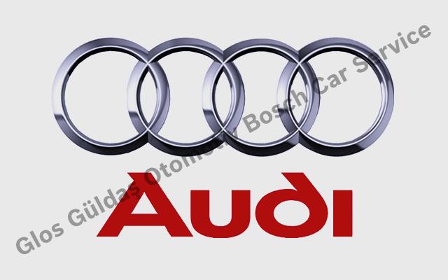 Adana Audi Servisi