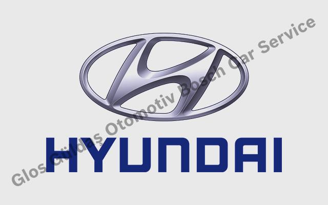 Adana Hyundai Servisi