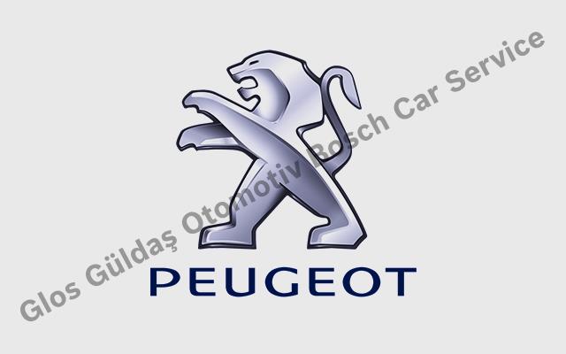 Adana Peugeot Servisi